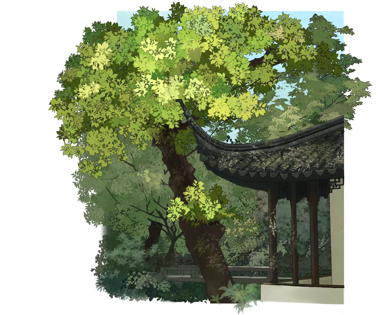 手绘插画 08